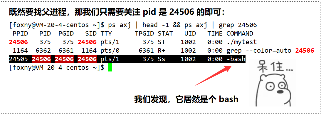 【看表情包学Linux】进程的概念 | 进程控制块 PCB | 父进程与子进程 | 进程 ID | task_struct_子进程_92