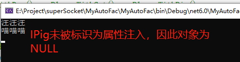 C# Autofac 构造函数注入，属性注入，方法注入_属性注入_11