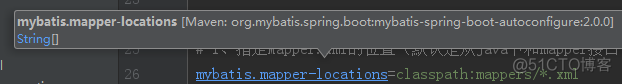 SpringBoot默认配置原理：MyBatis自动配置解析_配置文件_07