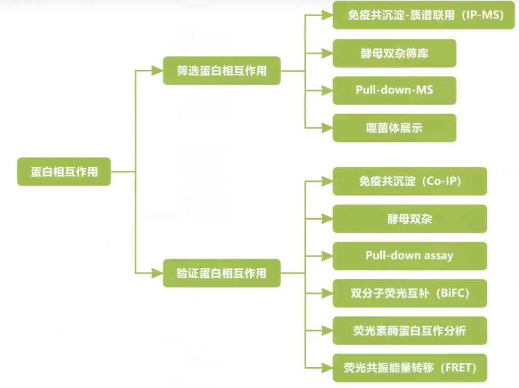 基因功能研究思路_搜索_02