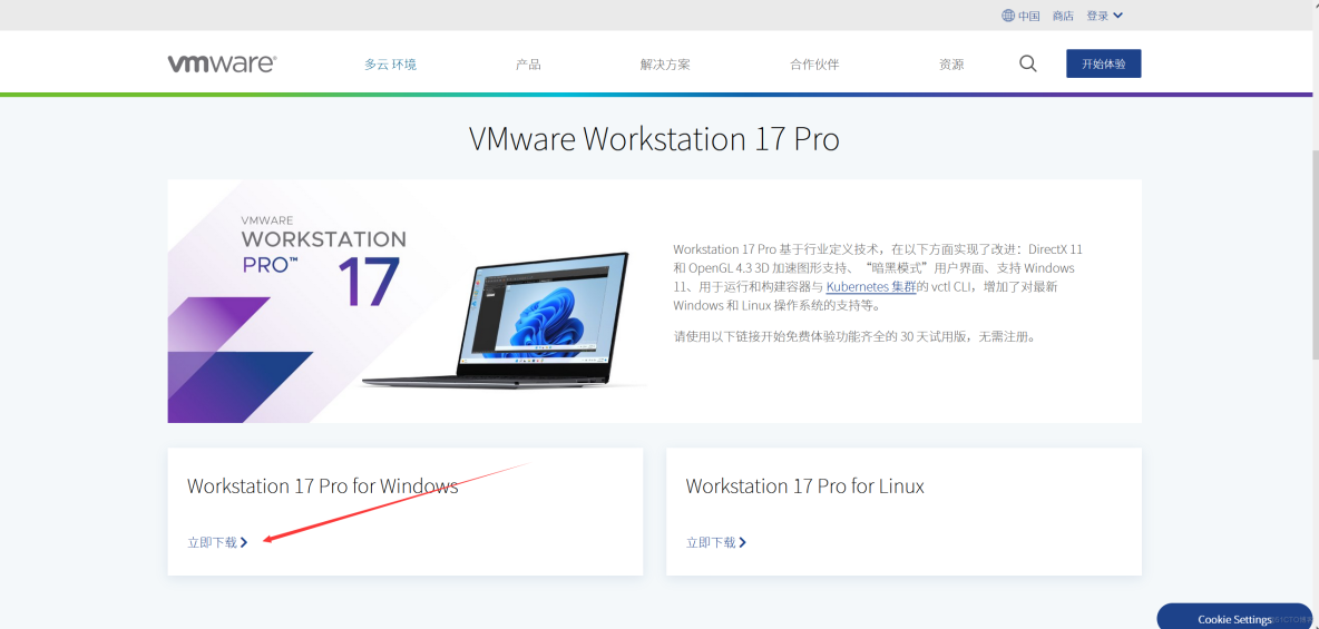  安装VMware workstation 17 pro，以及安装Win 10虚拟机  全部教程_官网
