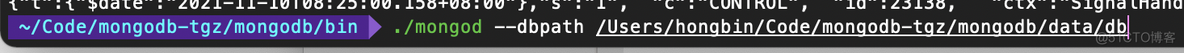 mac安装mongodb error:NonExistentPath: Data directory /data/db not found._Data