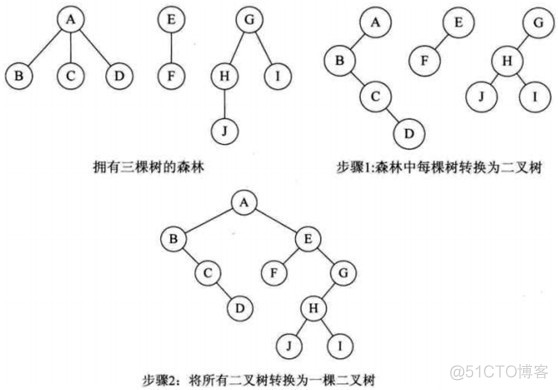 二叉树、树、森林的相互转换_结点_02