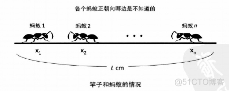 1266 蚂蚁_ios