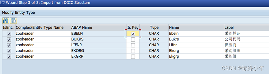 SAP ABAP Odata_abap_03