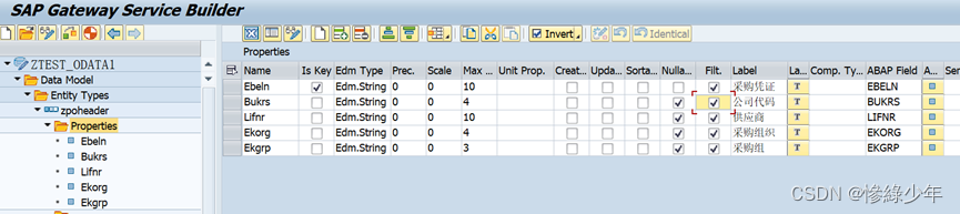 SAP ABAP Odata_数据_04