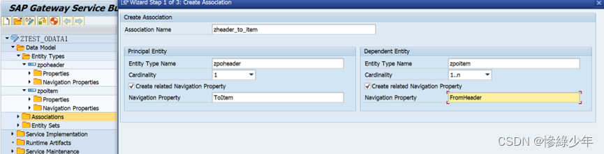 SAP ABAP Odata_重定义_05