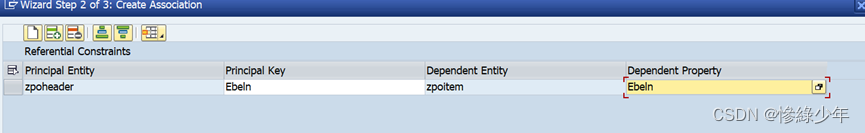 SAP ABAP Odata_重定义_06