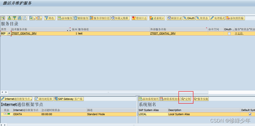 SAP ABAP Odata_sap_10