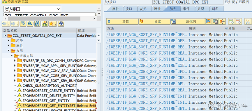 SAP ABAP Odata_ci_16