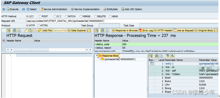 SAP ABAP Odata_abap_24