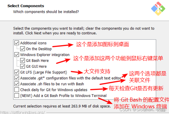 Git 详细安装教程（保姆级详细教程）_编辑器_06