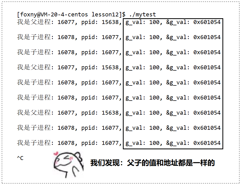 【看表情包学Linux】进程地址空间 | 区域和页表 |虚拟地址空间_服务器_16