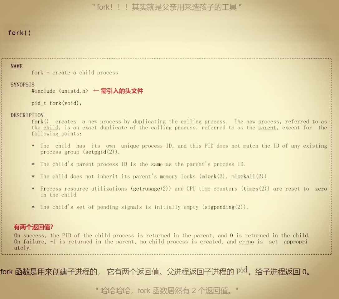 【看表情包学Linux】进程地址空间 | 区域和页表 |虚拟地址空间_操作系统_45