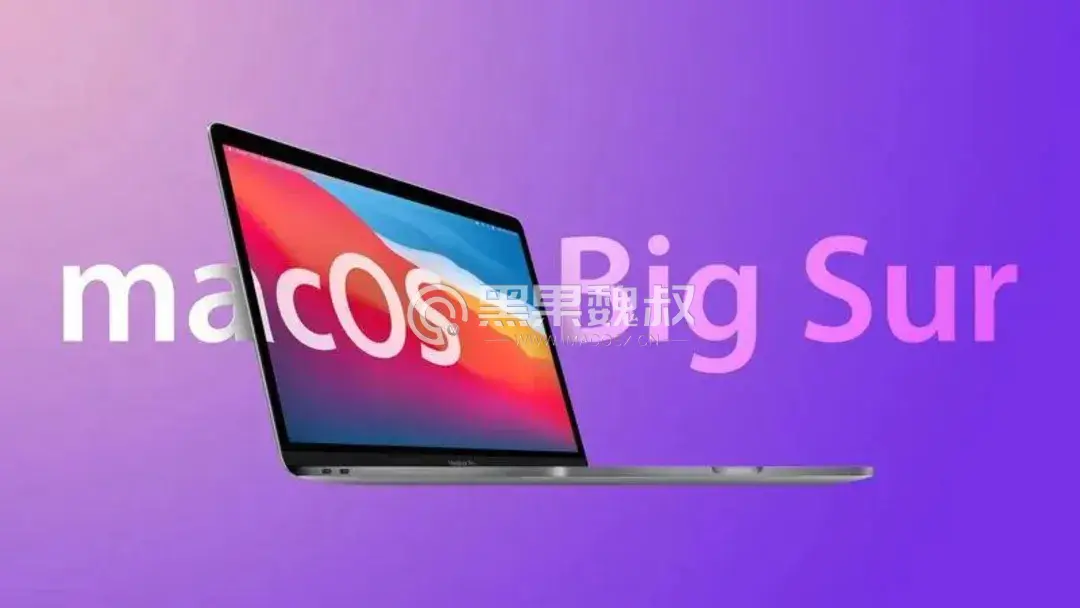 macOS Big Sur 11.7.4（20g1220）With OpenCore 0.8.9正式版 and winPE双引导分区原版镜像_黑果魏叔