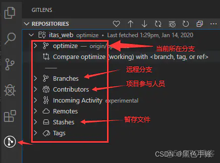 vsCode 源代码管理插件GitLens使用指南_git_04