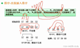 7_2数据结构与算法基础：：：算法