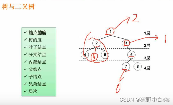 7_1数据结构与算法基础：：：数据结构_权值_29