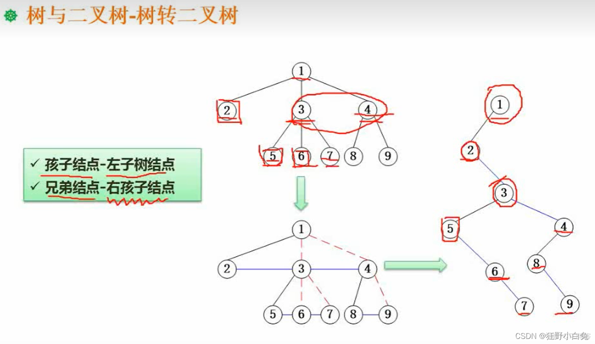 7_1数据结构与算法基础：：：数据结构_矩阵_43