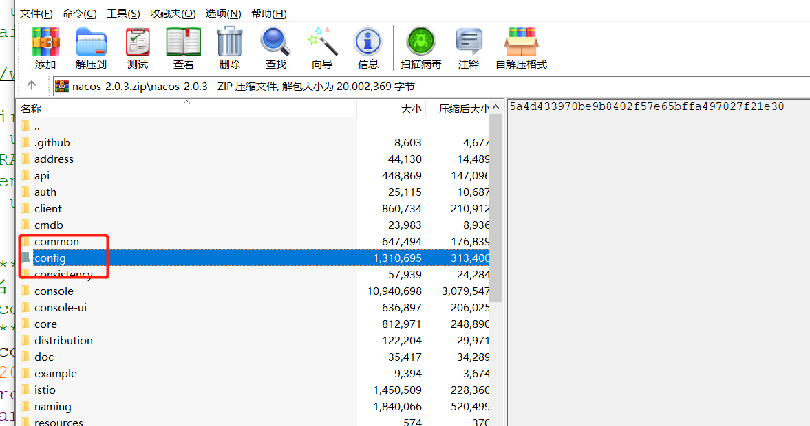 nacos配置新增不成功_spring boot_05