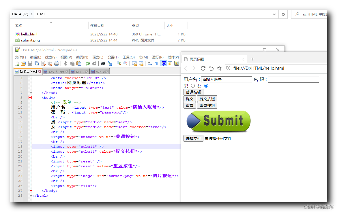 【HTML】HTML 表单 ② ( 按钮表单 | 普通按钮 | 提交按钮 | 重置按钮 | 图片按钮 | 文件域 )_前端_05