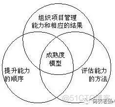 【信管12.4】战略管理与组织级项目管理_人工智能_03