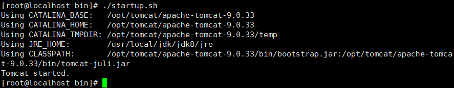 银河麒麟安装tomcat9_apache_07