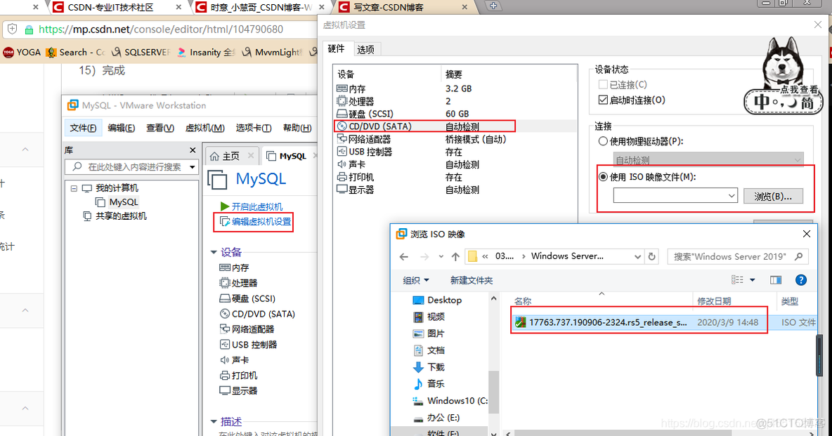 VMware 装Windows Server 系统_共享文件_17