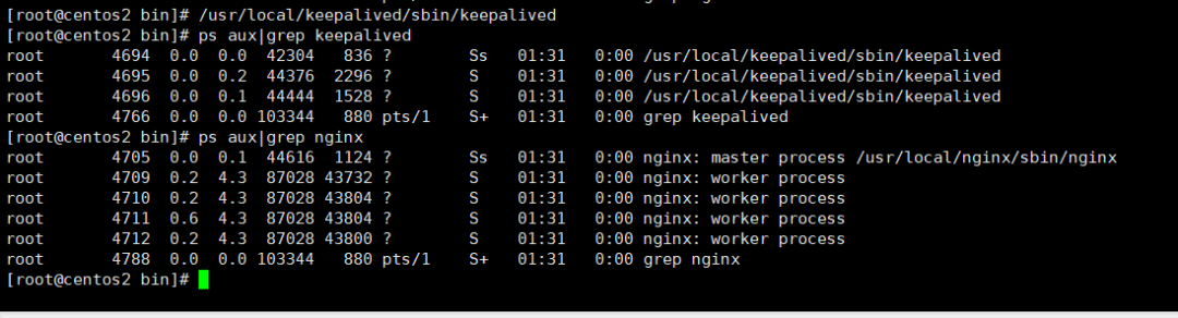 Nginx + keepalived 实现高可用_Nginx_07