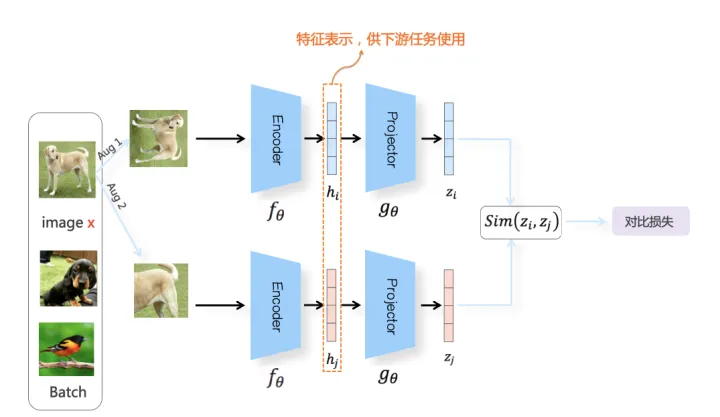 【论文笔记】(对比学习经典论文MoCo) Momentum Contrast for Unsupervised Visual Representation Learning_特征向量