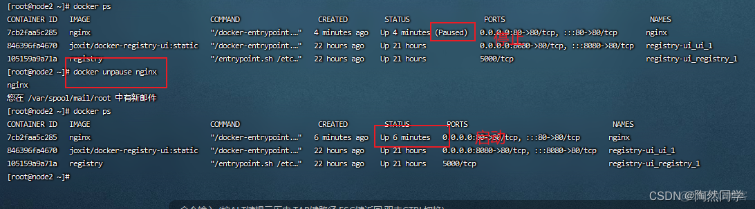 【Docker】命令总结_java_10