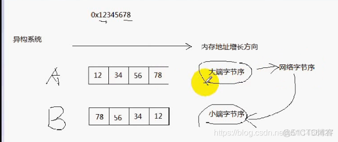 （P6）socket编程一：什么是socket ，IPv4套接字地址结构 ，网络字节序 ，字节序转换函数 ，地址转换函数 ，套接字类型_字节序