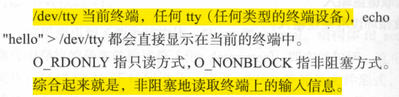 《后台开发：核心技术与应用实践》第七章网络IO模型_文件描述符_30