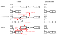 （第26章）LinuxC本质中链表、二叉树和哈希表