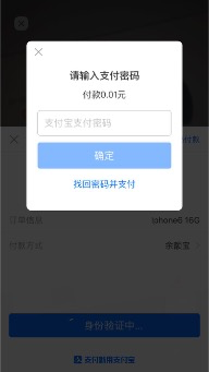 支付宝-电脑网站支付_电脑网站支付_06