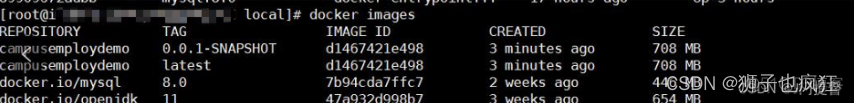 如何在IDE部署springboot项目(有swagger和无swagger都是一样的)到服务器或者虚拟机上的docker_ide_04