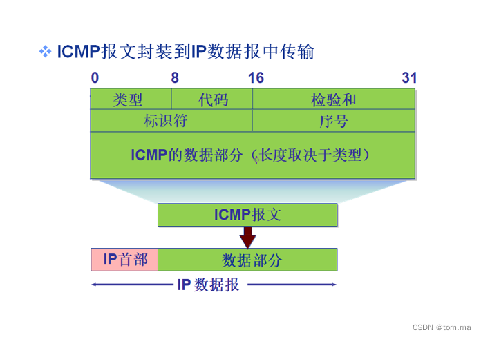 ICMP 协议_字段_02