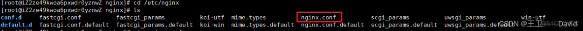【Nginx二】——Nginx常用命令 配置文件_运维