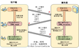 C++ Linux Web Server 面试基础篇-计网(一)