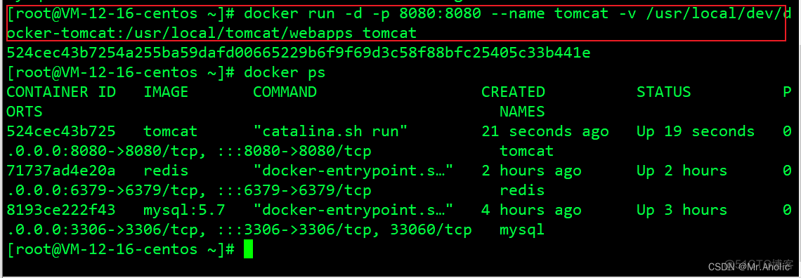 在服务器中使用Docker安装Tomcat、同时实现目录挂载、并且部署War包到服务器_服务器_05