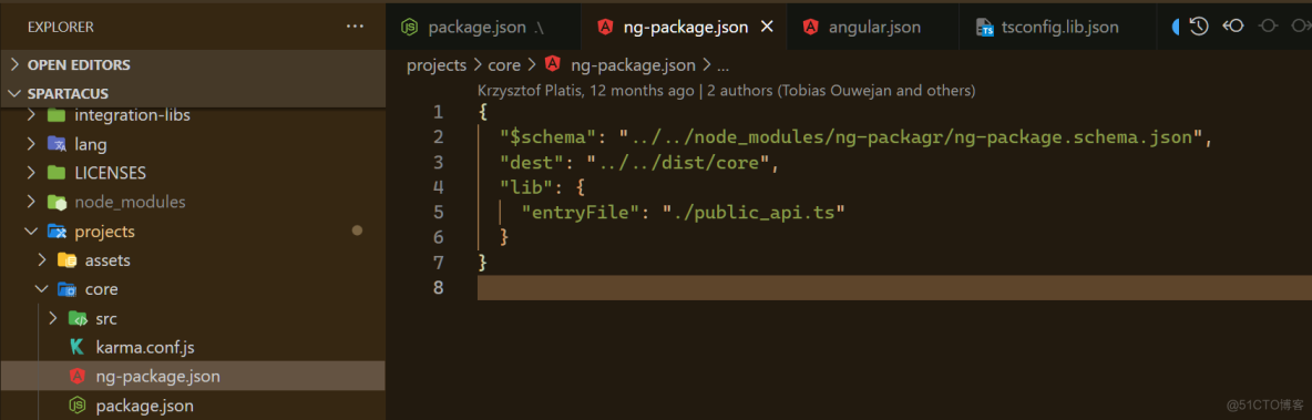 Angular 应用里 ng-package.json 文件的作用是什么？_json_02