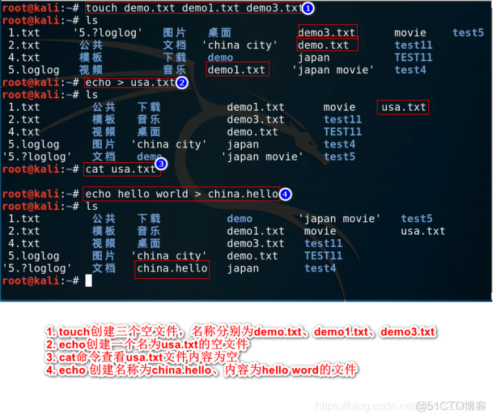 Kali与编程学习:touch命令的学习_安全_03