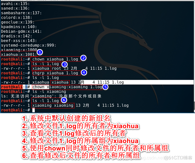 Kali与Shell编程 -- chown与chgrp修改文件所有者和所属组_linux_05