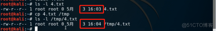 Kali Linux基础操作学习篇——cp命令（一）_计算机网络_05