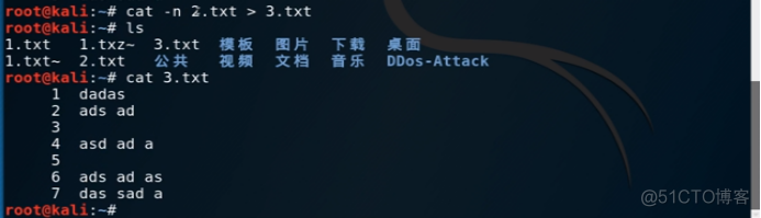 Kali Linux基础操作学习篇——cat命令_命令行_04