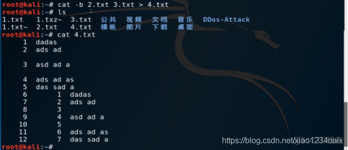 Kali Linux基础操作学习篇——cat命令_计算机网络_05