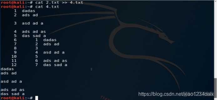 Kali Linux基础操作学习篇——cat命令_计算机网络_08