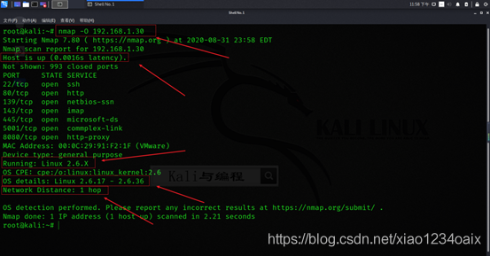 Kali Linux进阶篇：Nmap扫描网络空间存活主机技巧_ubuntu_03