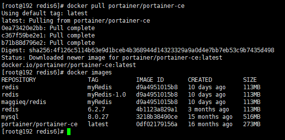 Docker的安装与使用_redis_38