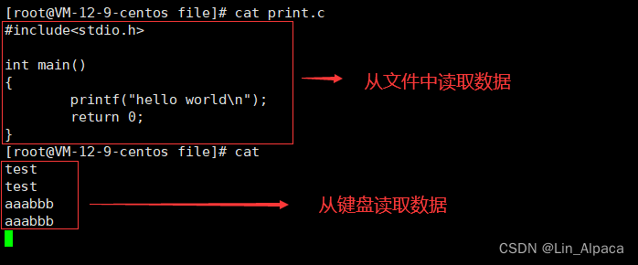 【Linux】Linux的常见指令详解（上）_递归_18